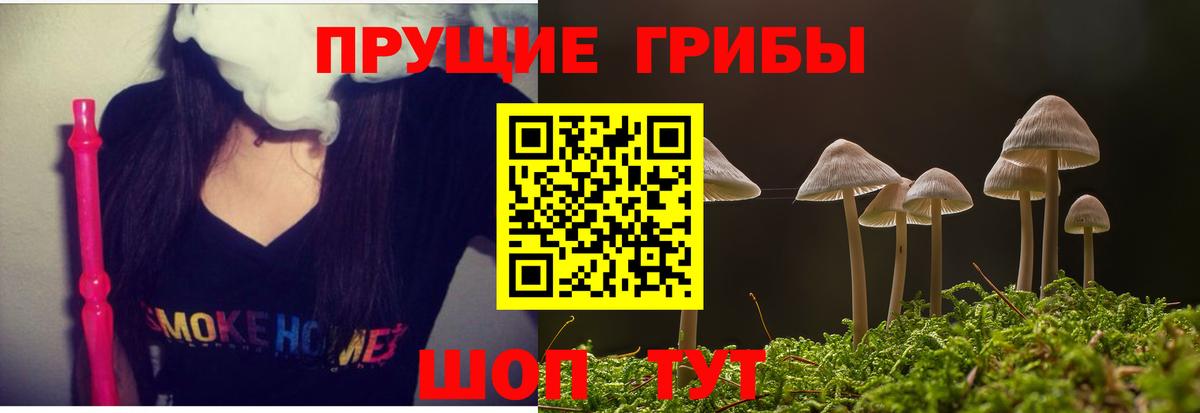 Галлюциногенные грибы ЛСД  Псилоцибиновые грибы GOLDEN TEACHER  Тюмень  Вход с VPN 