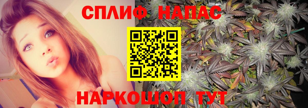 Конопля планчик  Бошки Шишки Amnesia  Тюмень  Марихуана гибрид  Вход с VPN 